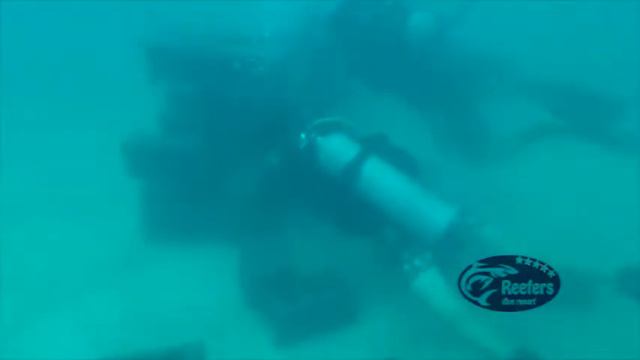 Artificial Reef By Reefers