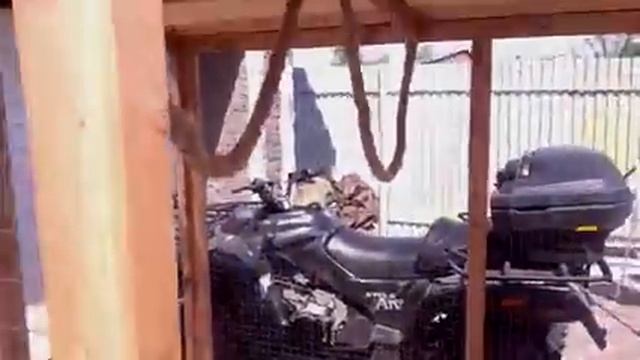 Уличный вольер для кошек тел +7 915 038 60 46 смотреть онлайн