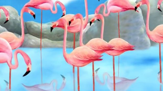 Изучите азбуку Z для Zebra