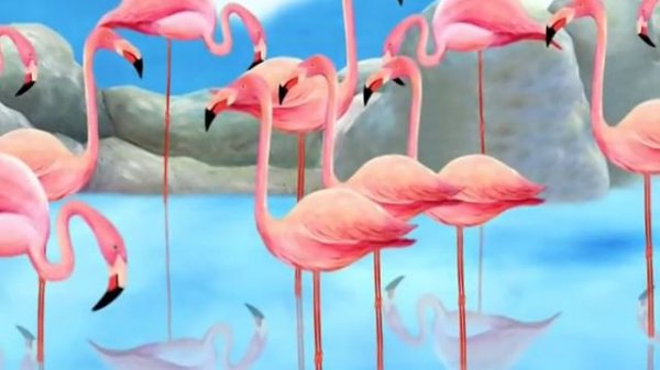 Изучите азбуку Z для Zebra