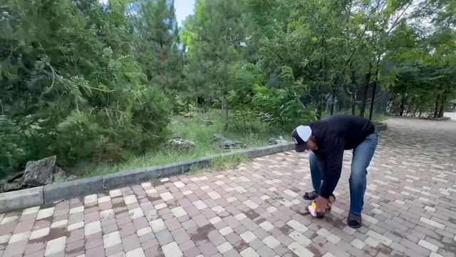 Маню и Степу вывели на прогулку, но собралось много людей и гамадрилята КИНУЛИСЬ к папе Владу! смотреть онлайн