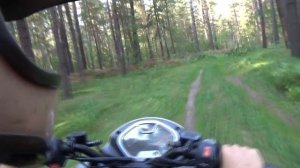 Покатушки на скутере Racer Dragon RC150T-11.