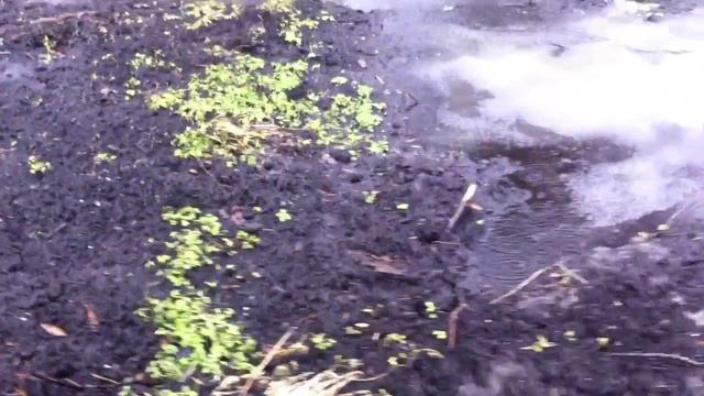 19.04.2015 - НАЧАЛО СТРОИТЕЛЬНОГО СЕЗОНА 2015 ГОДА смотреть онлайн