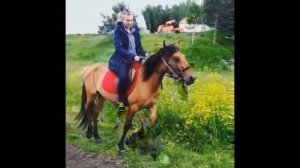 как мы объезжали лошадь