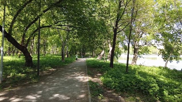 Яркость и выразительность ресниц