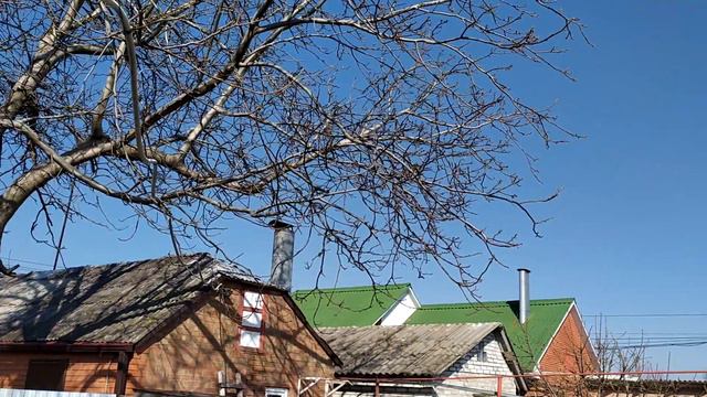 Пение птиц в начале апреля смотреть онлайн