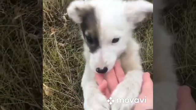 Поля из Деревки 2019 подборка лучших вайнов года