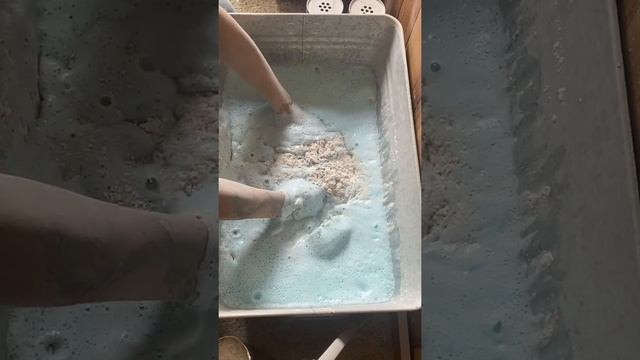 20 CANS OF AJAX AND 10 BLUE AJAX LIQUID смотреть онлайн