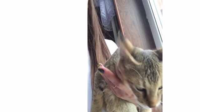 Девочка Чаузи F1 смотреть онлайн