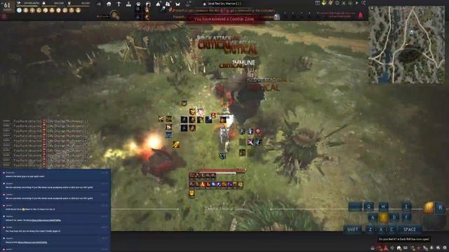 BDO| Valkyrie Awakening PVE (Max AP) Gameplay in Elvia Server смотреть онлайн