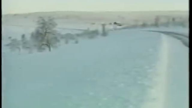 E31 BMW 8 Series Extreme Testing