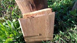 Хатсан 125 супермощЬная винтовка полный обзор