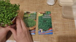 КРЕСС  - САЛАТ -  ВИТАМИННАЯ БОМБА! ВЫРАЩИВАНИЕ МИКРОЗЕЛЕНИ.