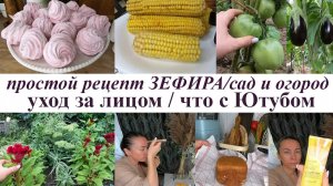 Рецепт зефира, свежий хлеб, кукуруза! Сад и огород в августе! Антивозрастной уход - мезотерапия!