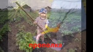 Детям о картофеле