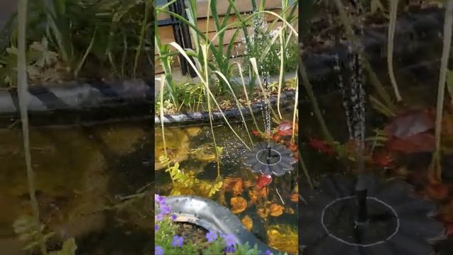 #Shorts#Дача в Германии! 34/1 часть! Фонтанчик на солнечных батареях! смотреть онлайн