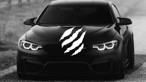 Мы свои идём собирать