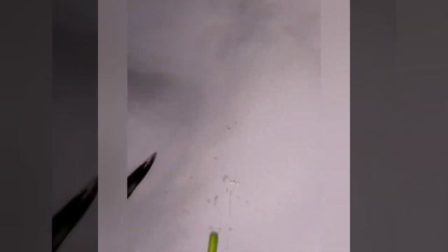 Как ухаживать за тюльпанами дома смотреть онлайн