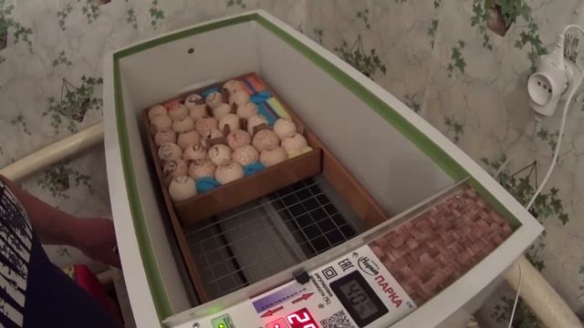 Закладка индюшиного яйца в Инкубатор "БЛИЦ НОРМА ПАРКА 120 ц10" смотреть онлайн