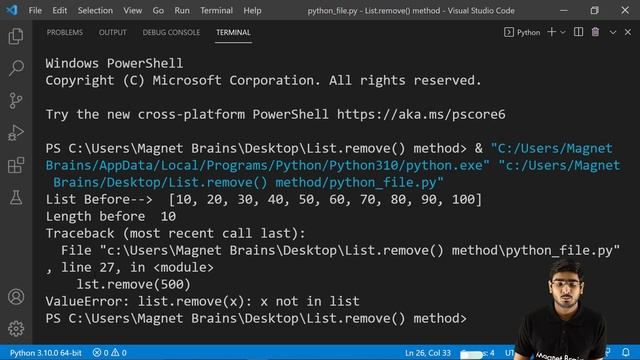 List Methods: List.remove() | Class 11 NCERT Computer Science Chapter 9 смотреть онлайн