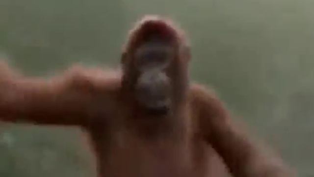 Абезяна чичичи продавала кирпичи