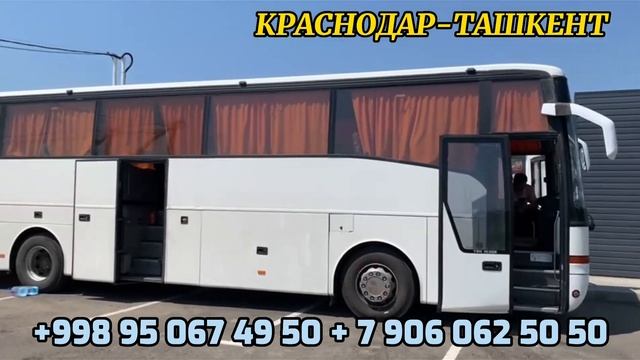 Краснодар Ташкент автобус 04.07.2023, Новороссийск Ташкент Анапа Ташкент Крым Ташкент автобус!