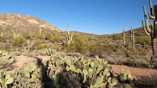 LIFTED LEXUS GX470 // OHV TRAILS | ARIZONA