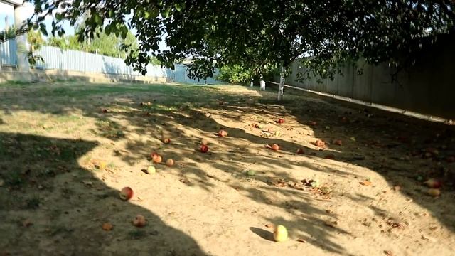 НЕДЕЛЯ ВЛОГОВ День 1 Гостим у бабушки, новые маски ив роше... смотреть онлайн