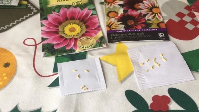 Посадка// Замачивание на салфетку// Газания// Гацания//Герань//Сад// Дача//Цветы ? смотреть онлайн