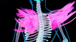 Единственная Матрица Гаряева от Боли под Лопаткой ☀️ Квантовое Исцеление Звуком