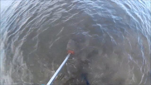 Подводный поиск. Беззубка vs Скуп. Серебро/ Underwater search . Shellfish vs scoop смотреть онлайн