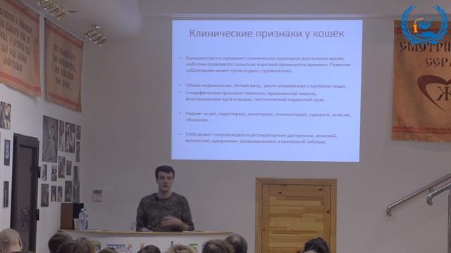 Коняев С. В. в УЦ «Зоовет» | Инфекционные заболевания кошек, ч. 2 смотреть онлайн