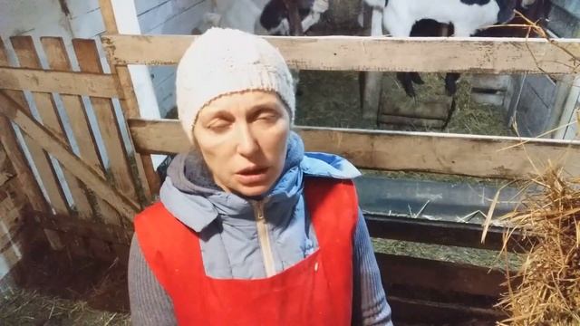 Как выбрать козла производителя, а не мясо козлятины. смотреть онлайн