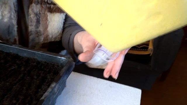 посев томатов смотреть онлайн