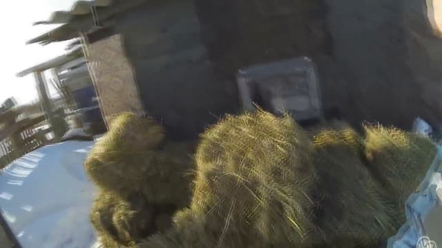 Запасаем сено на вечер // Немного о нашем хозяйстве // ЛПХ-Кирсановы смотреть онлайн