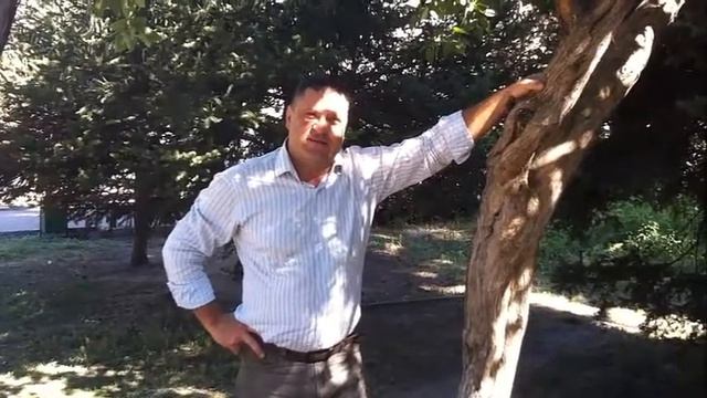 ТАК МЕНЯ ПОЗДРАВИЛИ смотреть онлайн