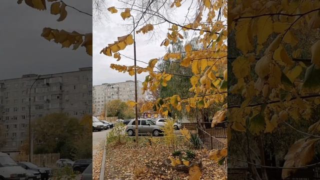 Осенний блюз как образ воздействия на нейроны головного мозга. смотреть онлайн