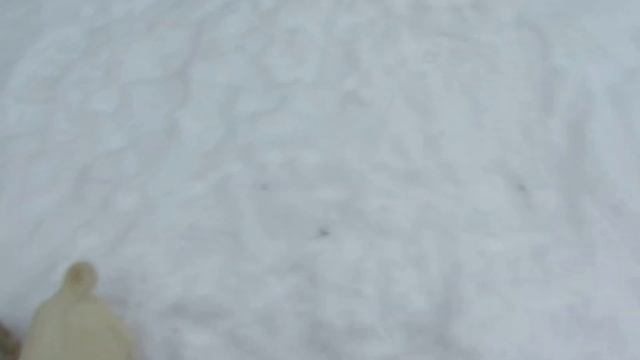 Щенкам от Лаймы и Соболя 41 день. смотреть онлайн