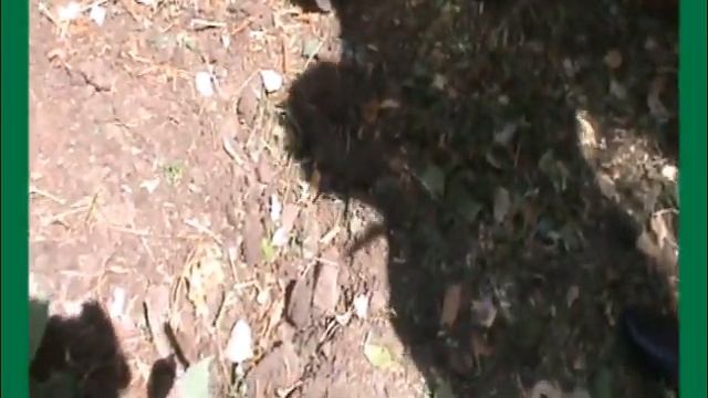 фрагмент обряда "похороны кукушки" смотреть онлайн