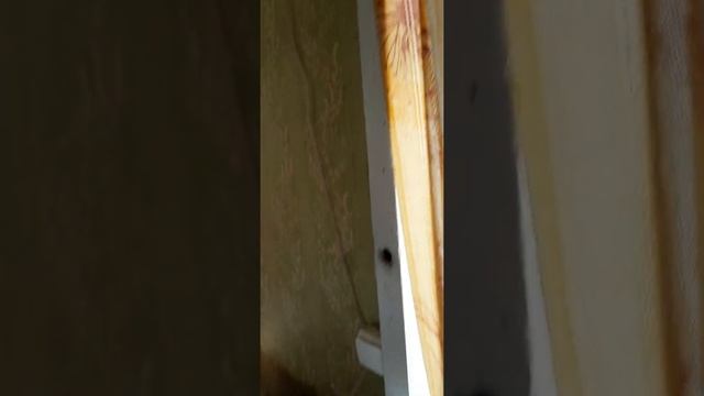 Светильник " Армстронг" напрямую от батарей, без блока питания. смотреть онлайн