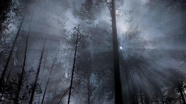 Robert Fripp -  A Blessing Of Tears