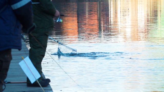 Zolotoy sazan master смотреть онлайн