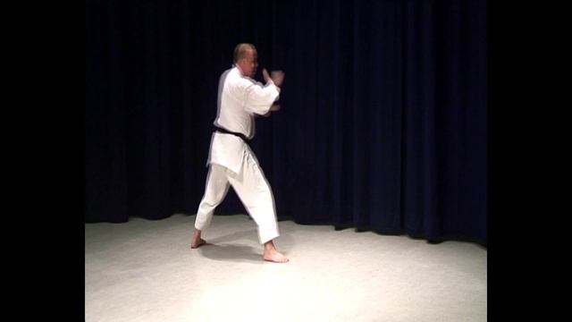 Shotokan Karate Video Kihon Spinning combination смотреть онлайн