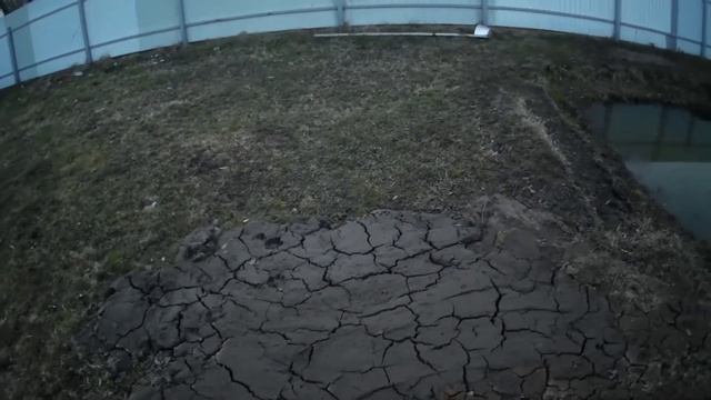 Удобрение из прудика смотреть онлайн