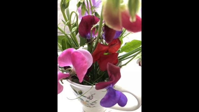 Flute and String Orchestra - "Sicilienne" смотреть онлайн