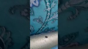 Обзор на мой новый телефон(второй запасной) Maxvi C30-какой же он на самом деле?