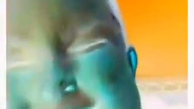 Повар и Хищник смотреть онлайн