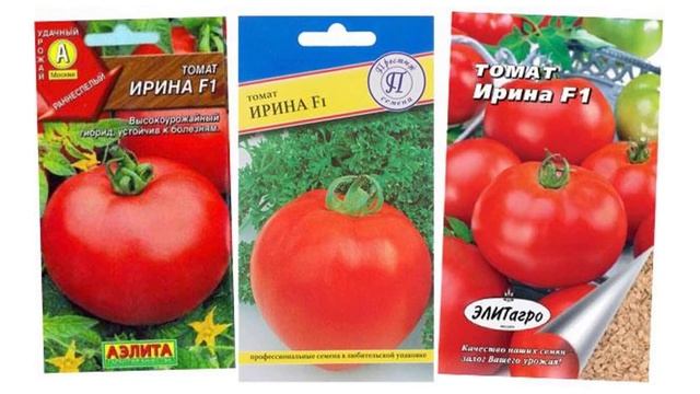 Характеристики и описание гибрида томатов Ирина F1 смотреть онлайн