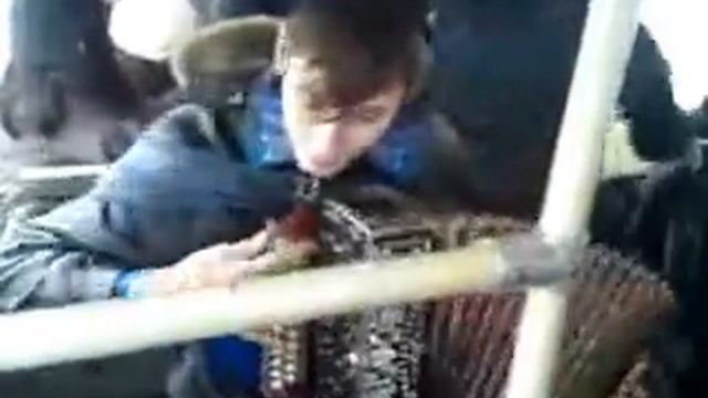 это ВОЛОГДА смотреть онлайн