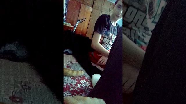 Кошачьи прихоти